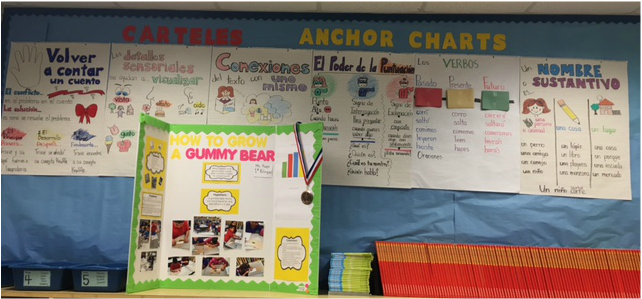 Anchor Charts - Ms. Rappi's Page